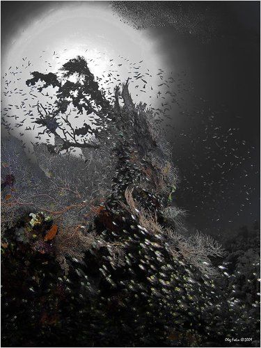 В темно-синем лесу (эпизод 2)