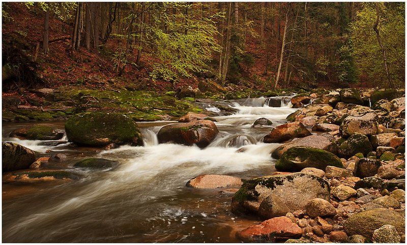 природа, пейзаж, лес, река, камни, листва воды стремительный поток фото превью
