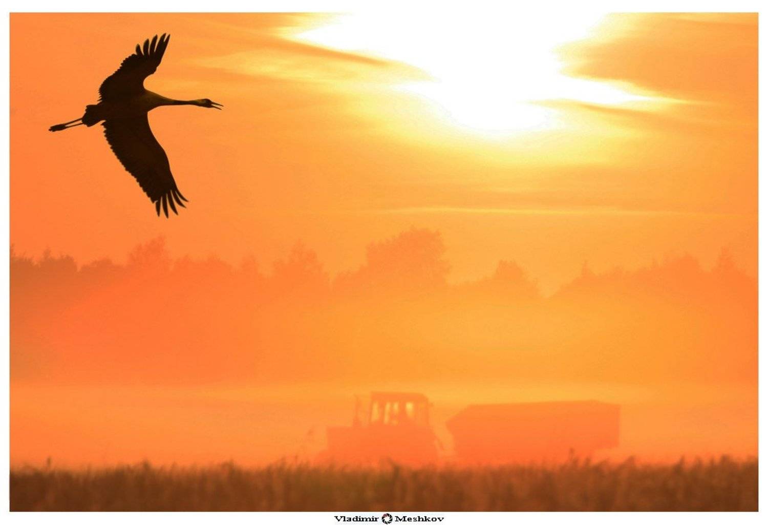 , &copy; =Vladimir Meshkov=