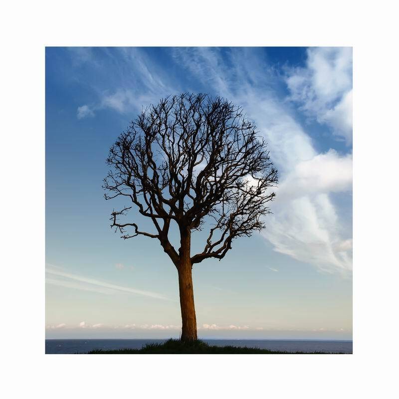 пейзаж, музыка, николай дмитрук