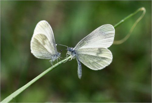 Знакомство