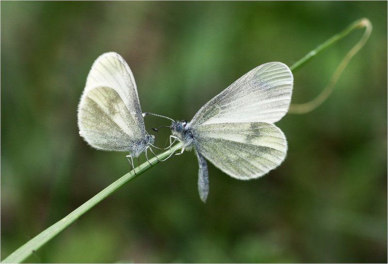 Знакомство фото превью