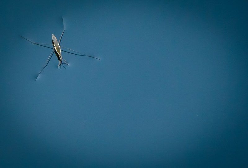 Слайддер фото превью