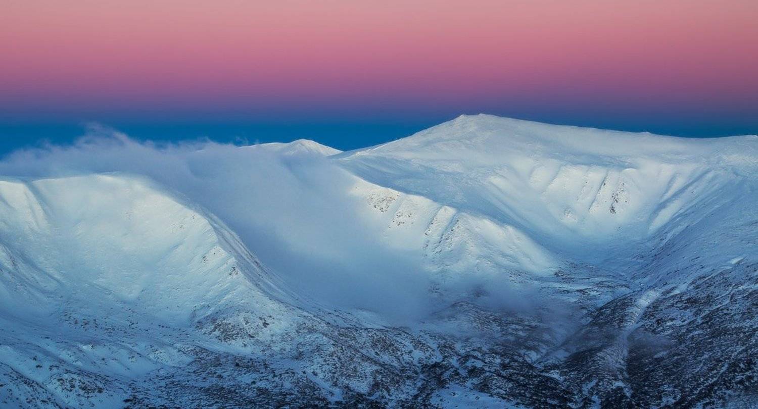 , Денис Кривой