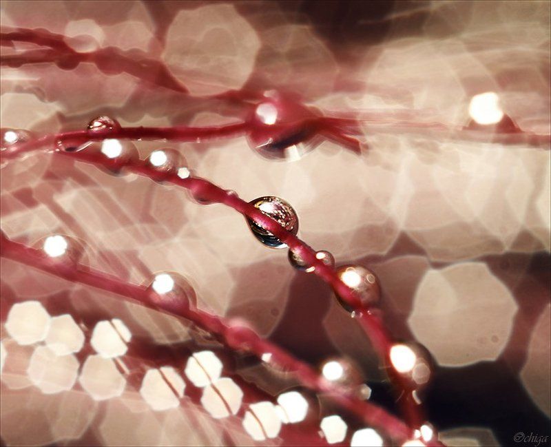 вода, капли В суете звёзд фото превью