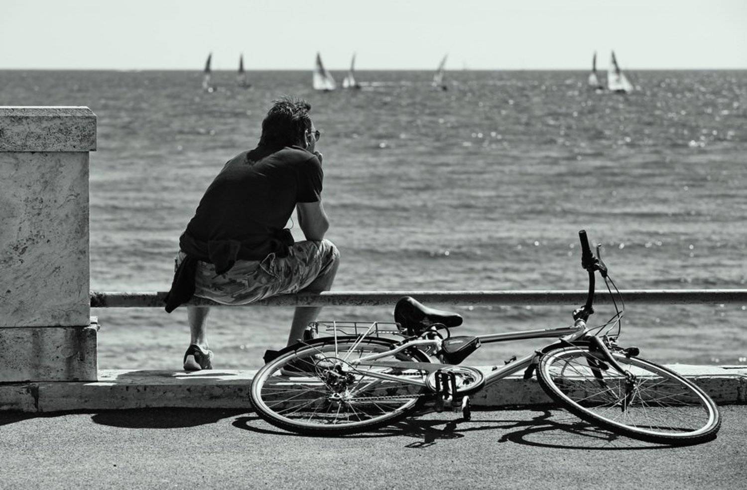 , Vasylevskyy Vitaliy