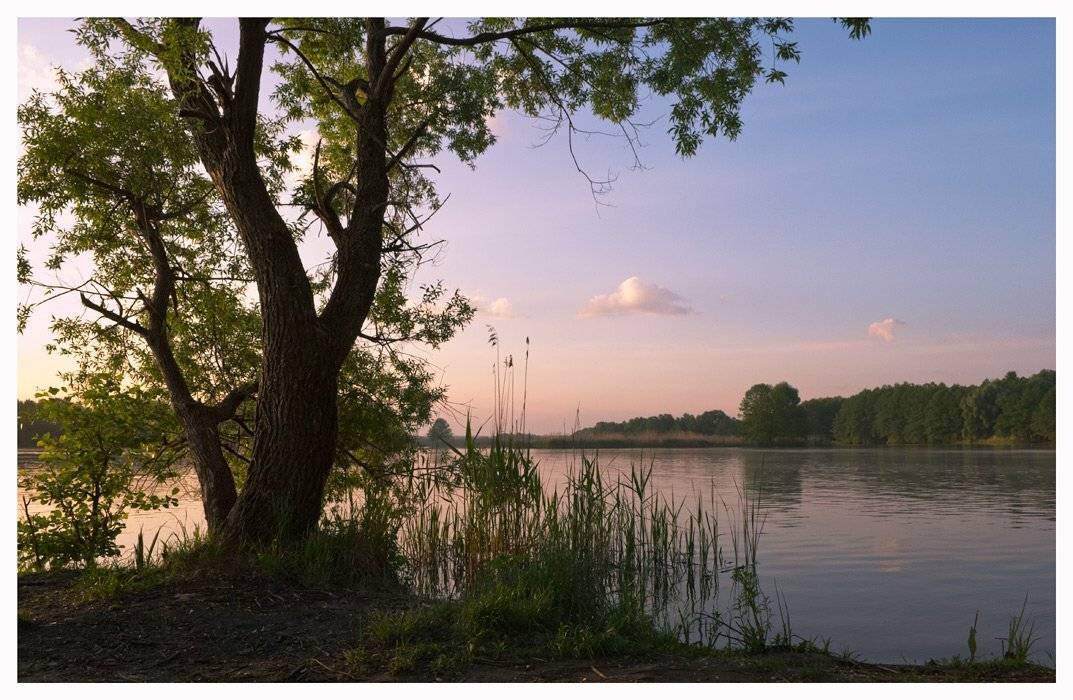 , Сергей Полукаров