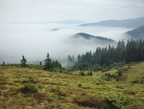у белого моря