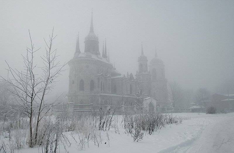 , Svoboda Andreeva