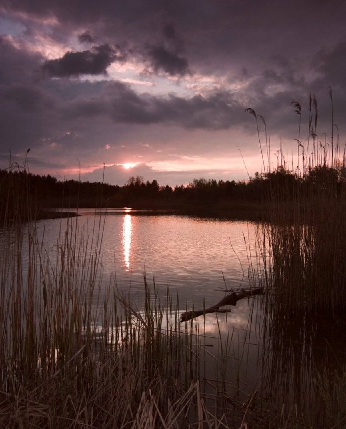 , Александр Андреев
