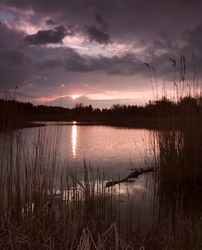 Дело было вечером... фото превью