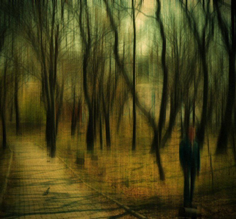 деревья, лес, абстракция Trees as wood фото превью