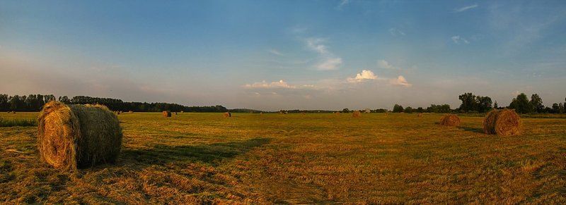 лето, природа, пейзаж, панорама Знойное лето... фото превью