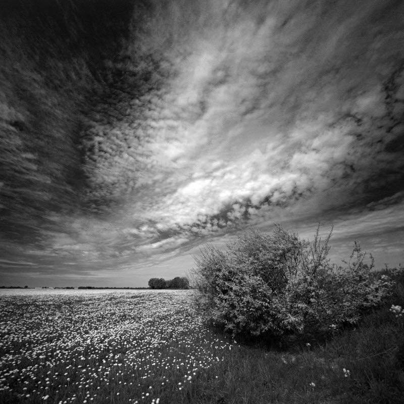 , Эдуард VTORNIK  Николаев