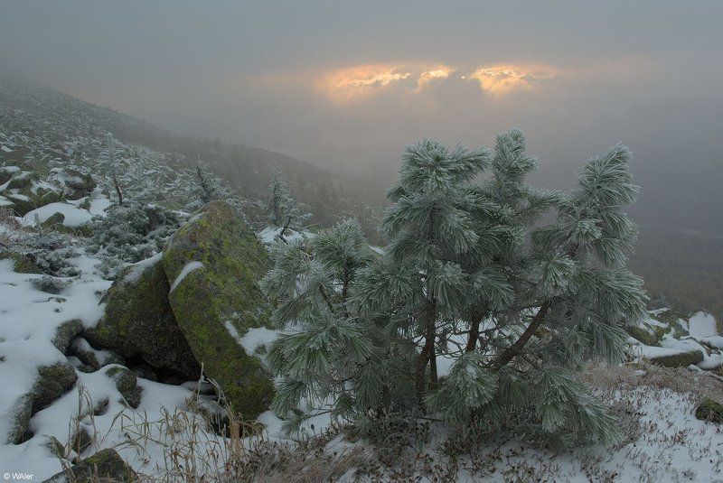 PRO день туриста (часть 2) фото превью