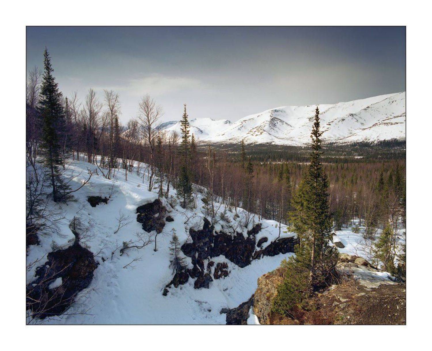 , Дмитрий Лялин