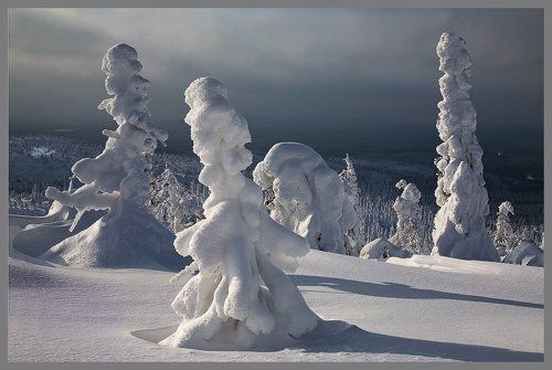 Карелия.Свет февраля.