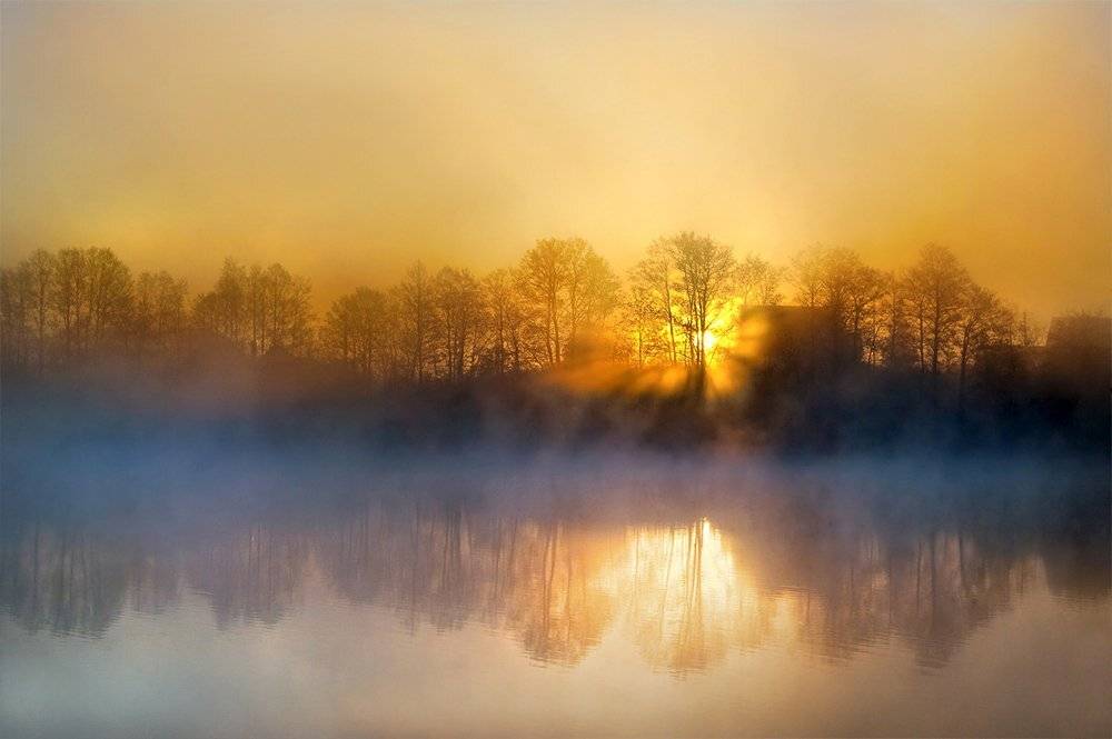 , Rimantas Bikulcius