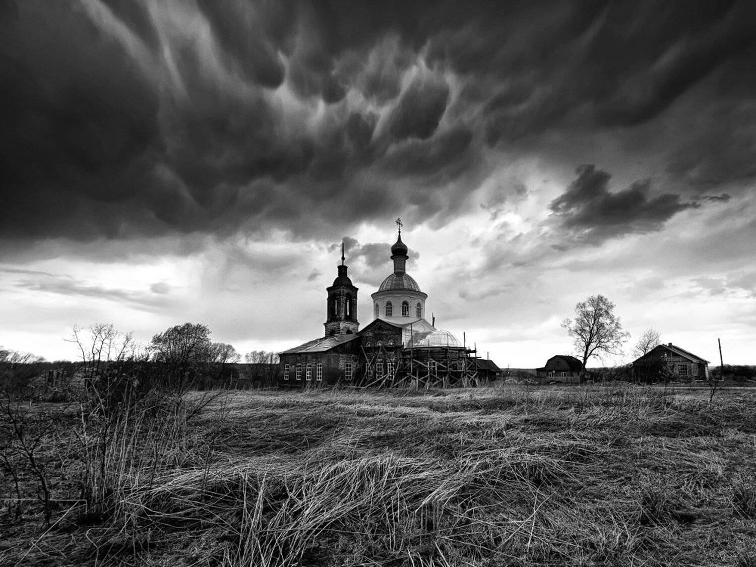 , Максим Евдокимов