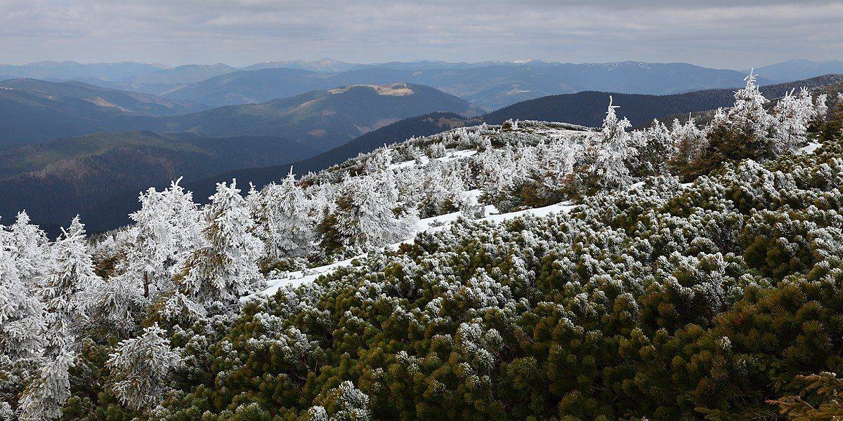 карпаты, Михаил Псарёв