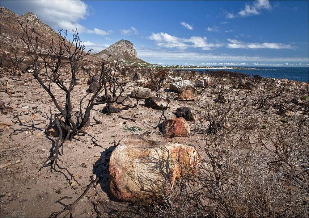 африка, юар, кейптаун, побережье, океан, Сергей Гаспарян