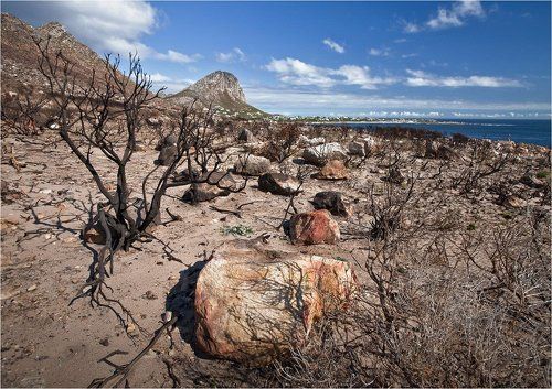 берег пепла