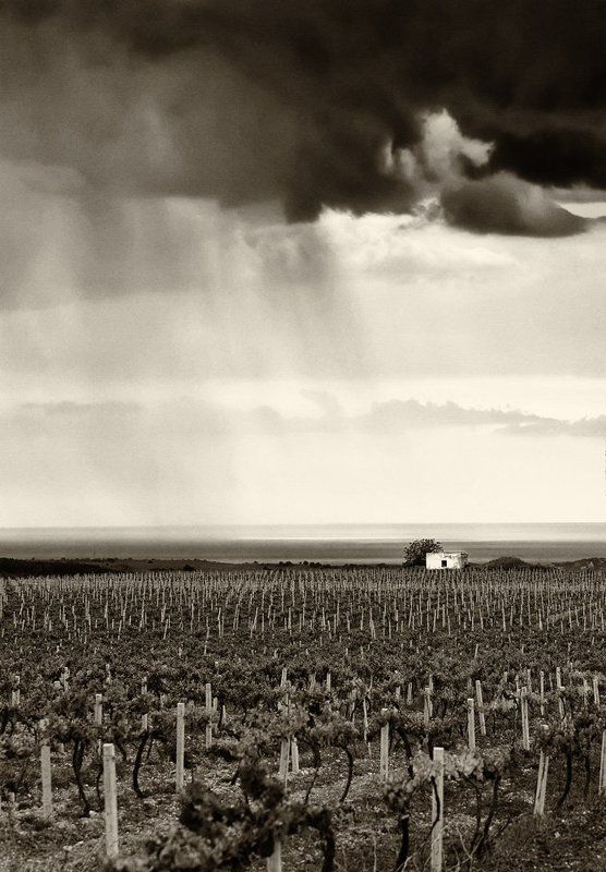 Майский дождь фото превью