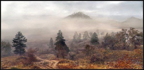 Затуманная
