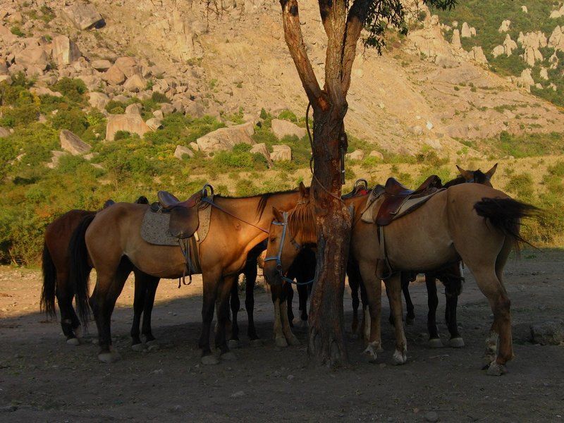 Funa фото превью