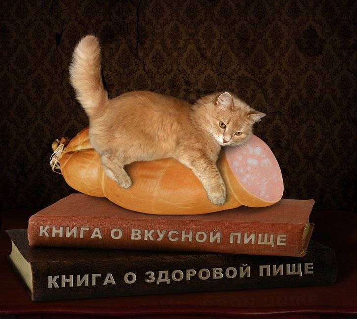 выбор, Iridi (Ирина Кузнецова)