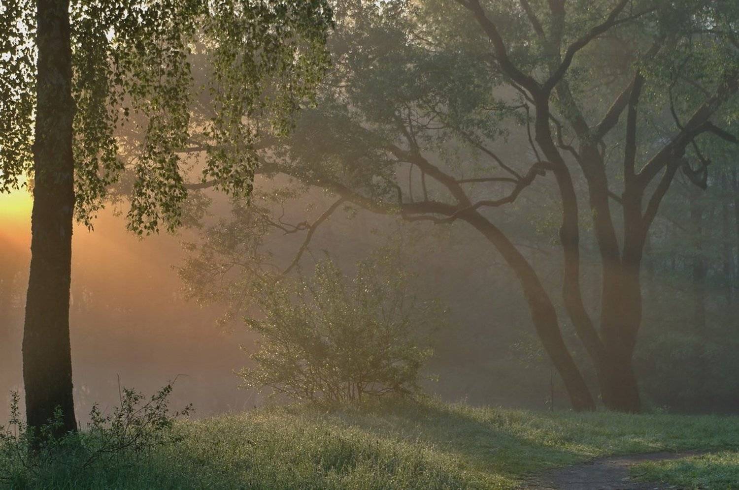 , Володя Демидчик