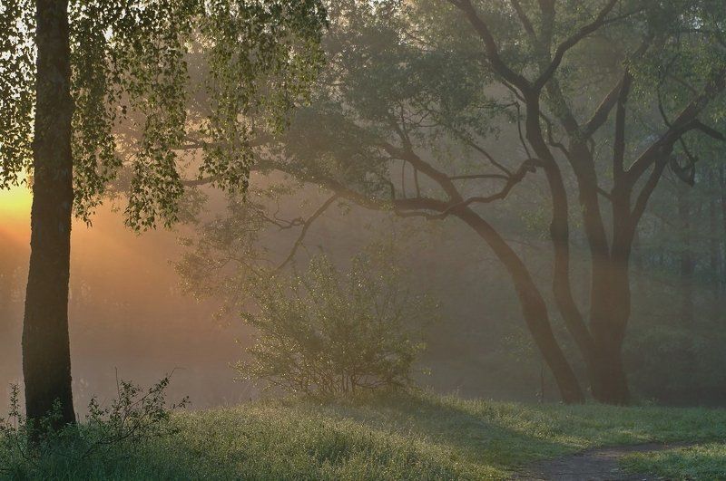 Сейчас выйдет фавн! фото превью