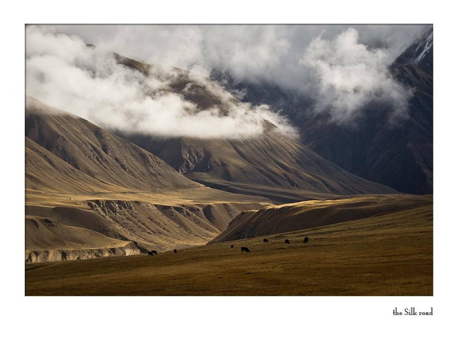 тянь-шань, Vasily Kosivtsov