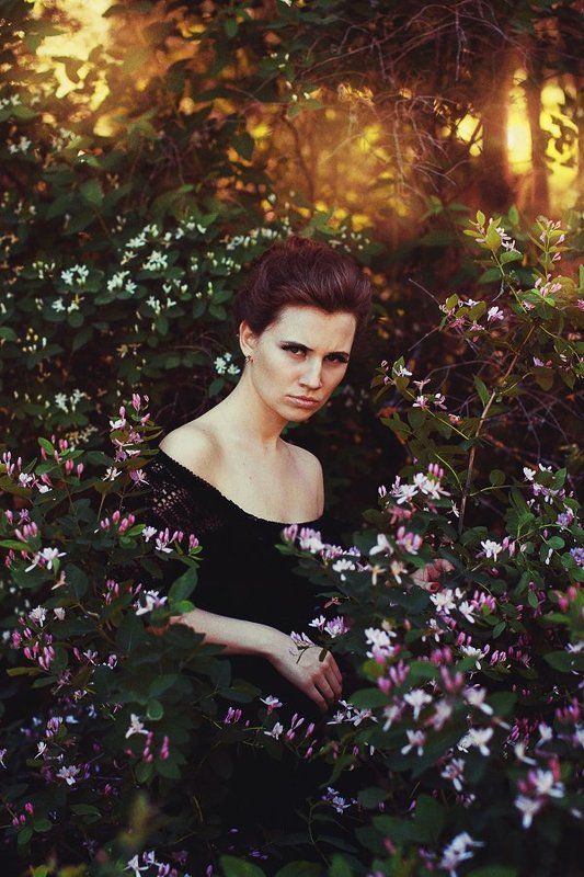 Garden фото превью