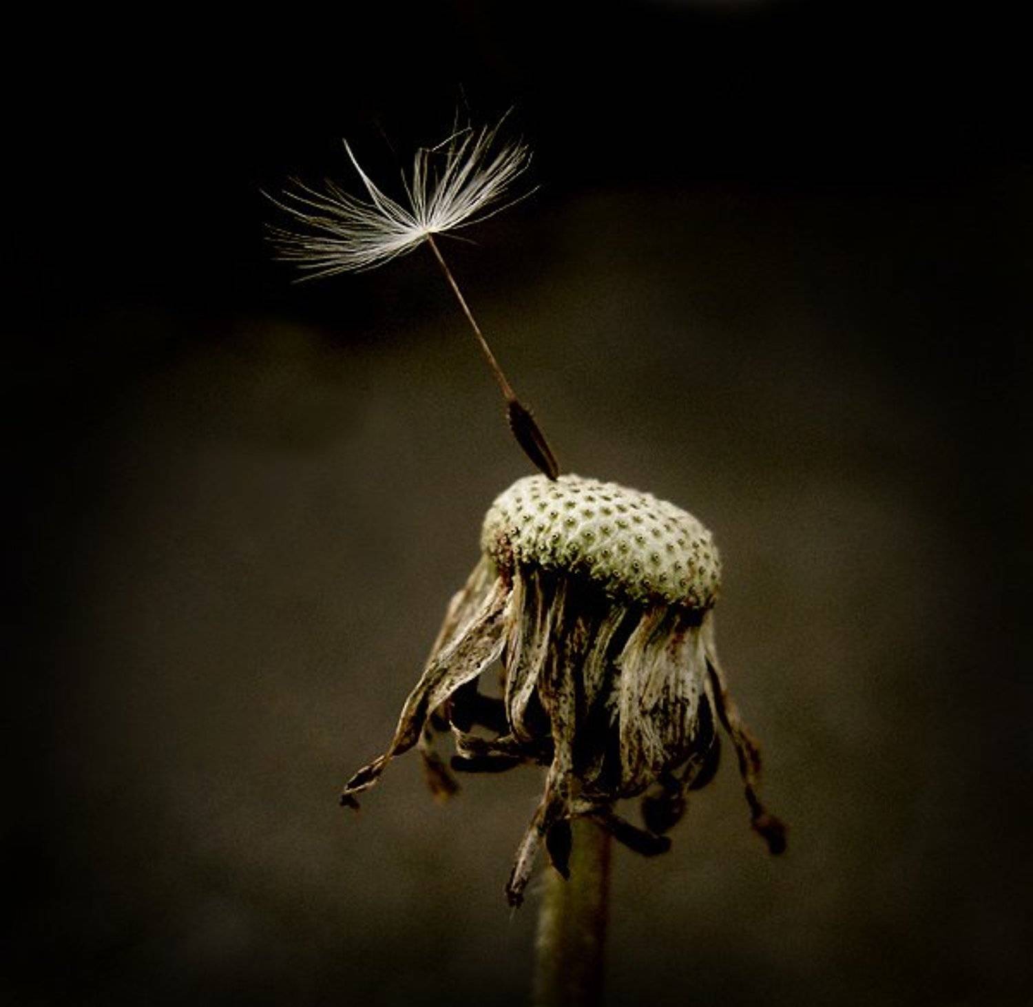 , Михаил Палинчак