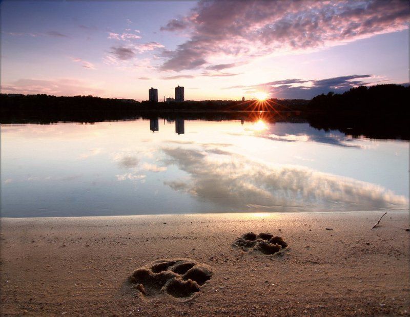 Дело было вечером... фото превью