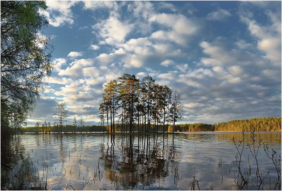, Андрей Куликов