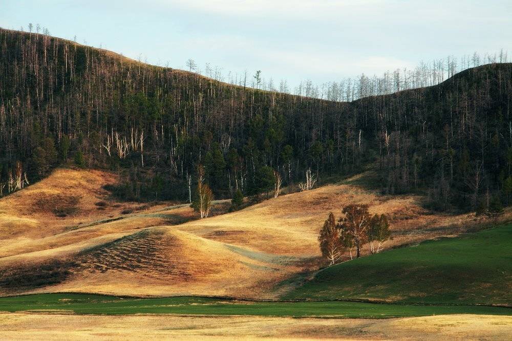 , Николай Морский