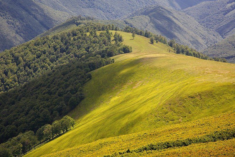 карпаты весіння фото превью