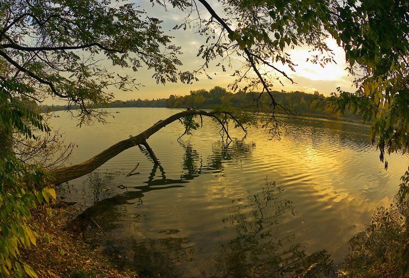 Предзакатная фото превью