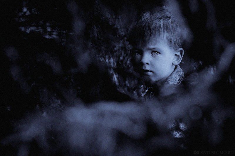 темной ночью, в темном лесе фото превью