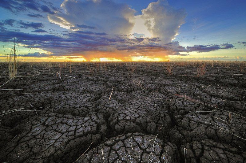 В ожидании дождя фото превью