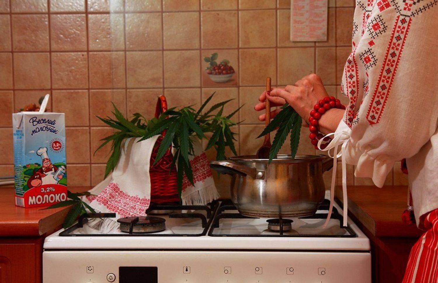 фотошутка, чар-зілля, ботаника, молоко, Розалія