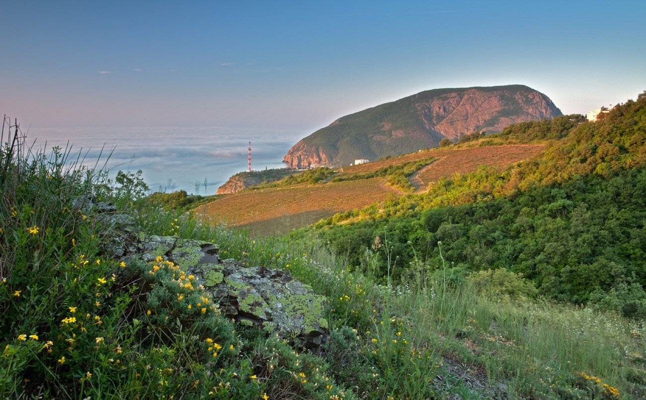 , Станислав Савицкий