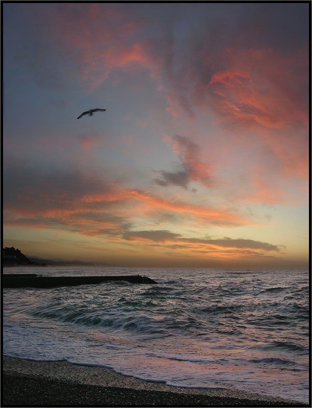 Утренняя фото превью