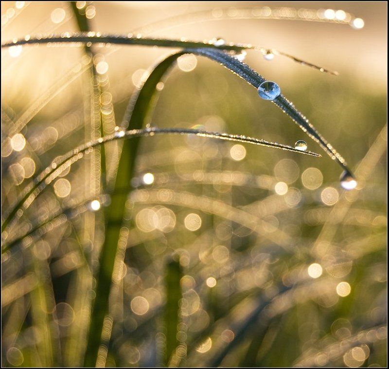 состояние души... фото превью