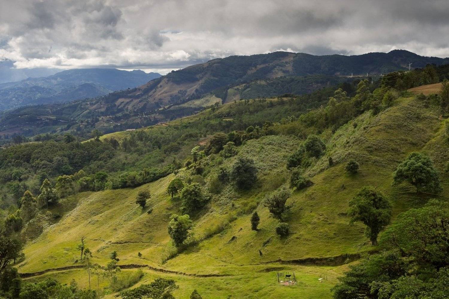 коста, рика, Александр Константинов