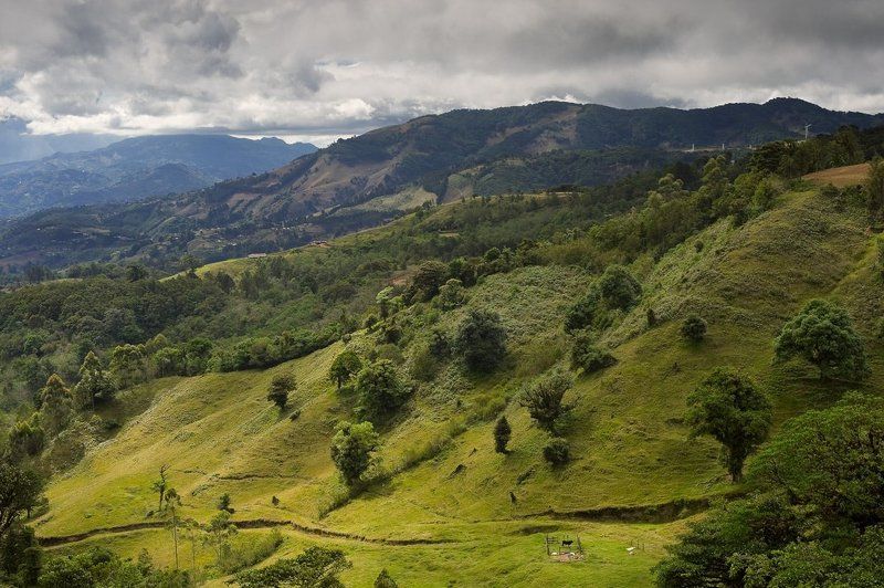 коста, рика Плюшевые холмы фото превью