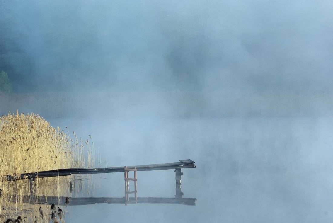 , Rimantas Bikulcius