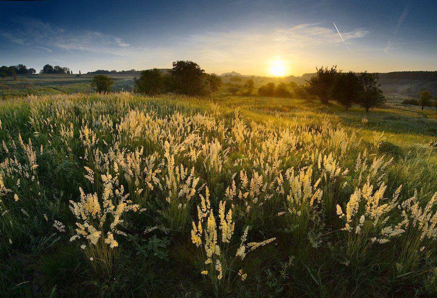 , Виталий Башкатов